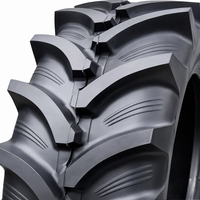 GTK 650/65 R38 RS200 163/166D/A8 TL