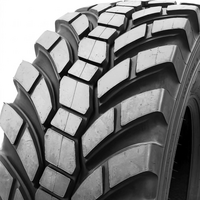 AEOLUS 445/65 R22,5 (18,00 R22,5) AGT24 AGROTRUCK 160J * TL