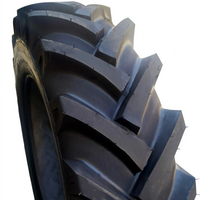 Protektor 16,9-34