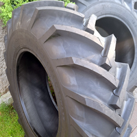 Cultor 16,9 - 28 AS AGRI-13 10PR TT 131A8