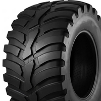 TIANLI 560/60 R22,5 AGRO TRAC 165D TL