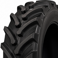 EUROGRIP (TVS) 520/70 R34 AR700 168/171D/A8 TL