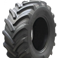 TIANLI 380/70R20 GENESIS 132/132A8/B TL