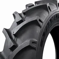 TIANLI 16,9-30 FIELDMASTER 8PR TT