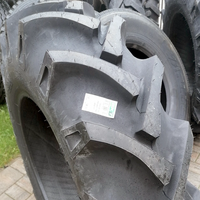 BKT 8.3 - 24 TR 135 100A6/96A8 TT