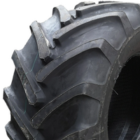 TIANLI 19,0/45-17 R100 146A8 16PR