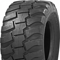 TIANLI 560/45 R22,5 AGRO GRIP 152D TL