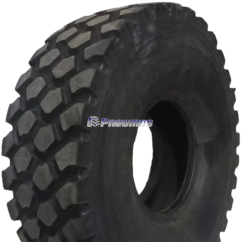 AEOLUS 24 R21 E-2/AE21 176 G 16PR TL