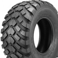 TIANLI 560/60 R22,5 RIDE KING STEEL BELT 161D TL