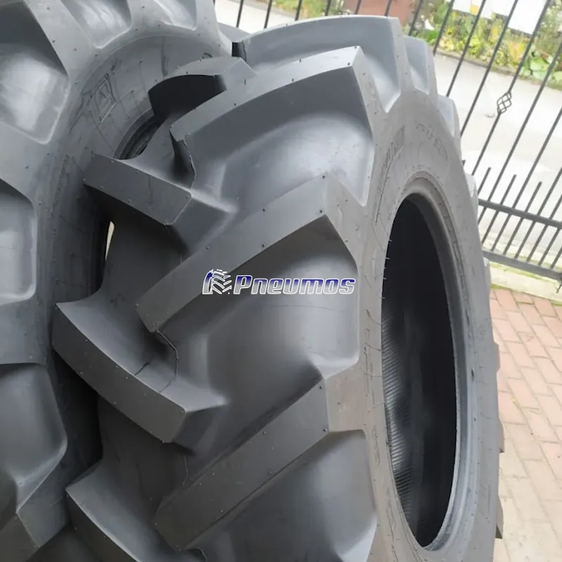 Trayal 16,9-30 14PR TT  D2011