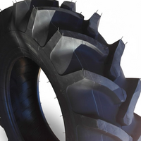 Cultor 13.6 - 24 AS AGRI 13 8PR TT 123 A6/120 A8