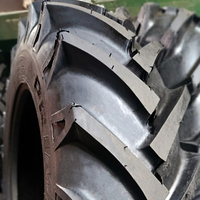 Protektor 16,9-30 Forestry 