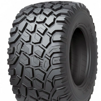 TIANLI 600/50-22,5 Land Care 24PR TL